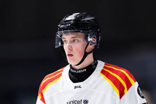 Brynäs Noel Gunler