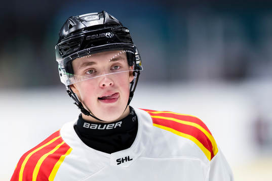 Brynäs Noel Gunler