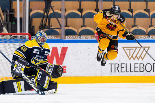 s målvakt Hugo Alnefelt och Luleås Juhani Tyrväinen