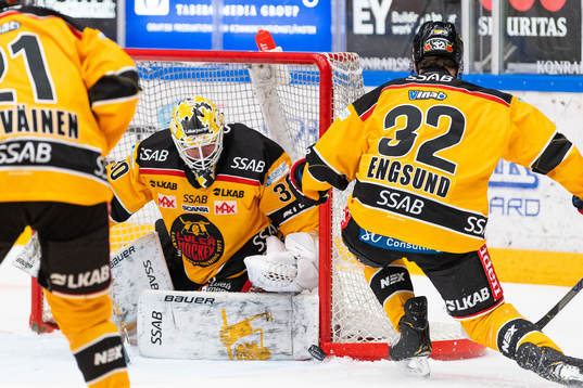 Luleås målvakt David Rautio