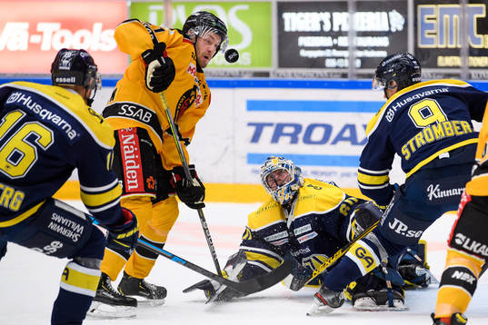 s målvakt Hugo Alnefelt