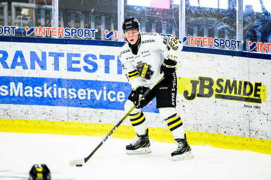 s Fabian Zetterlund