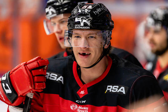Malmö Redhawks Emil Sylvegård