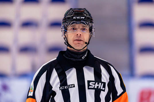 Domare Mikael Andersson