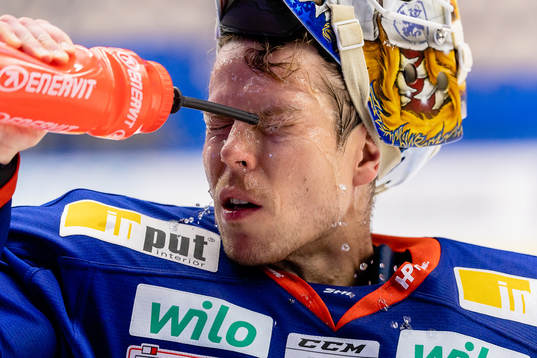 Växjös målvakt Viktor Fasth