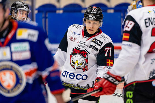 Malmö Redhawks Jan-Mikael Järvinen deppar