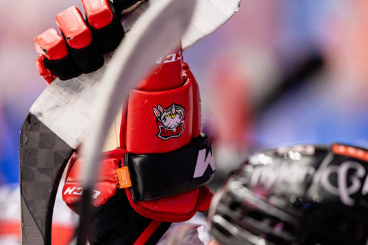 Handske med Malmö Redhawks klubbmärke