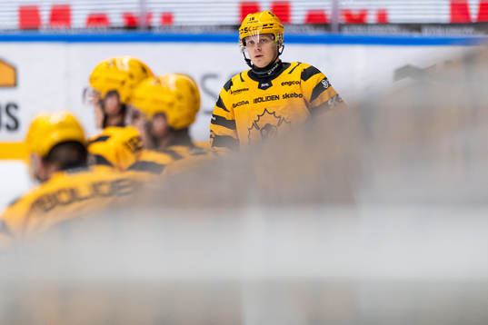 Skellefteås Linus Lindström