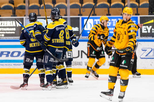s Daniel Bertov jublar med lagkamrater