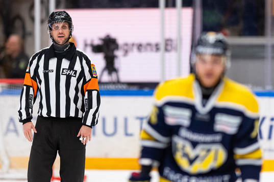Domare Patric Bjälkander