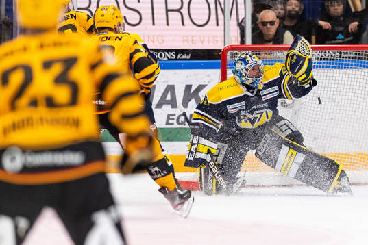 s målvakt Hugo Alnefelt