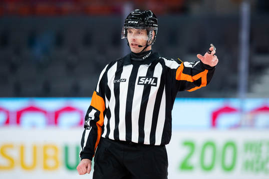 Domare Mikael Andersson