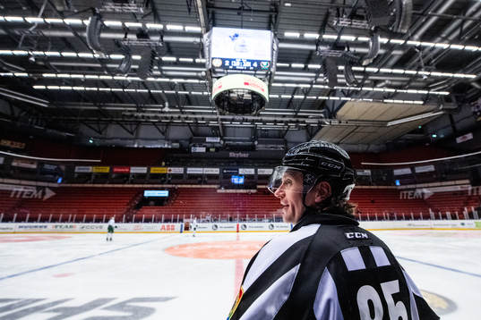 Linjedomare Fredrik Altberg