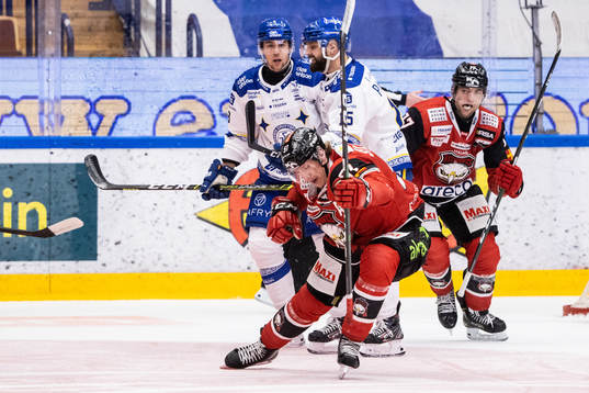 Malmö Redhawks Emil Sylvegård jublar