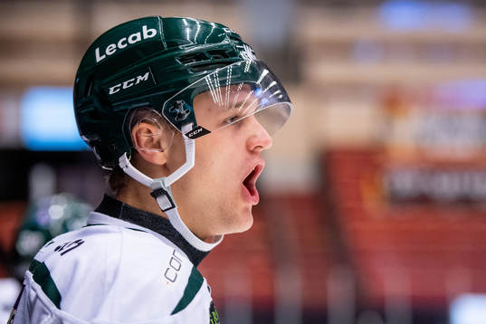 Färjestads Adam Ginning