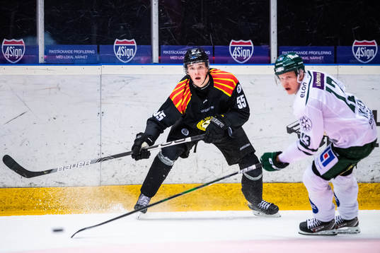 Brynäs Noel Gunler