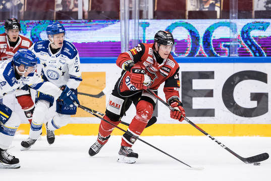 Malmö Redhawks Fredrik Händemark
