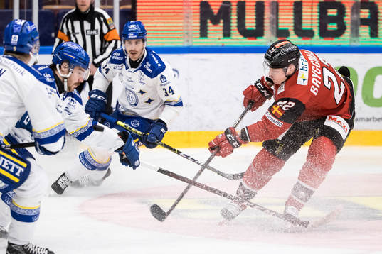 Malmö Redhawks Lars Bryggman