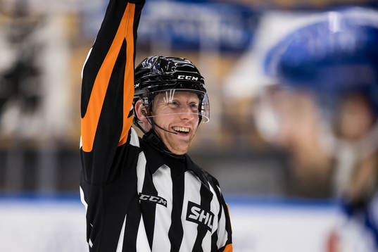 Domare Mikael Holm