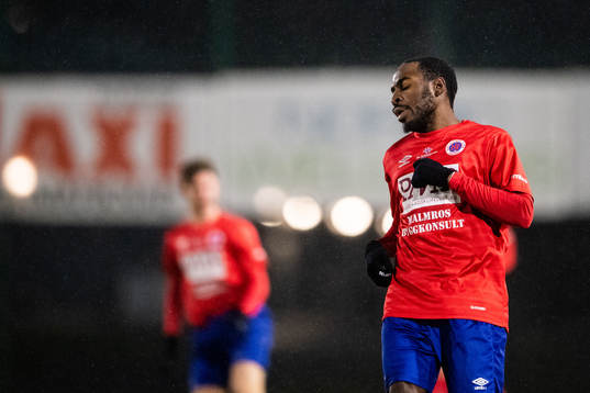 Karlslunds Rickson Mansiamina deppar