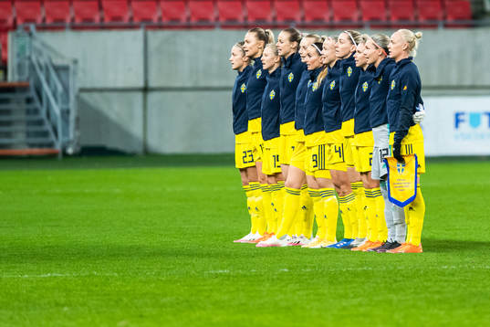 Players of Sweden