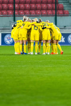 Players of Sweden gather