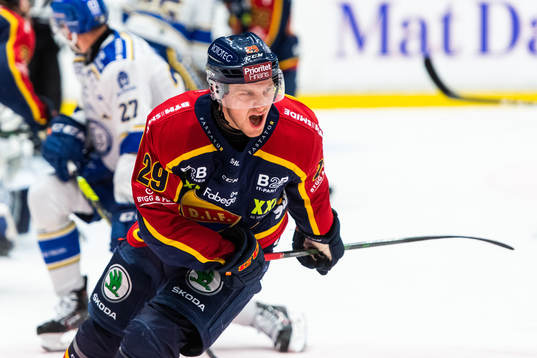 Djurgårdens Sebastian Strandberg deppar