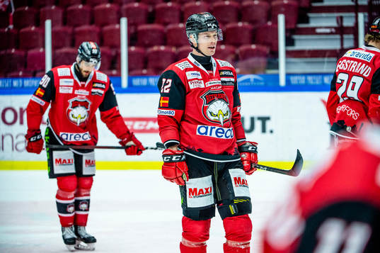 Malmö Redhawks Lars Bryggman deppar med lagkamraterna