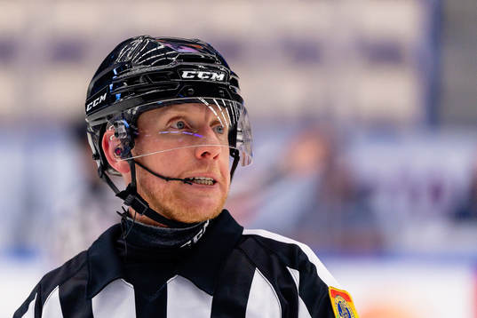 Domare Mikael Holm