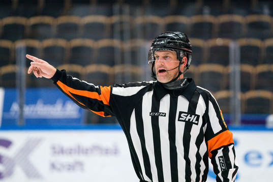 Domare Mikael Nord