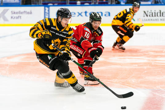 Skellefteås Jonathan Johnson och Luleås Einar Emanuelsson