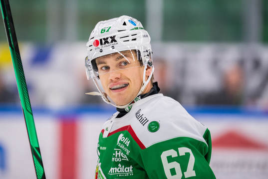 Rögles Leon Bristedt