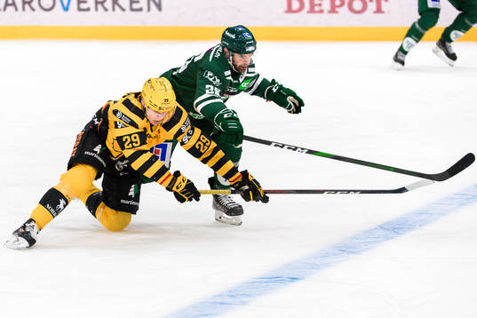 Skellefteås Albin Sundsvik och Färjestads Martin Johansson