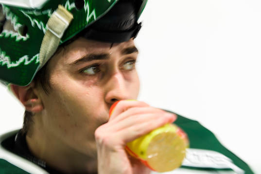 Färjestads målvakt Arvid Holm