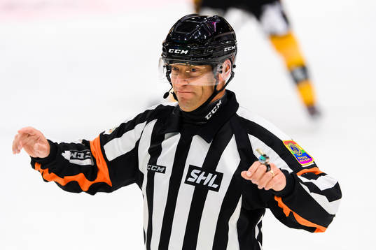Domare Sören Persson