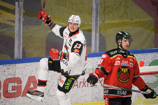 Malmö Redhawks Fredrik Händemark jublar samtidigt som