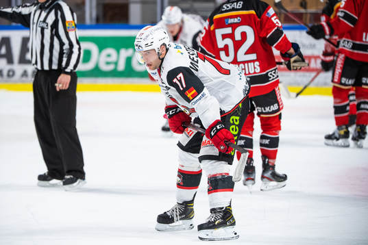 Malmö Redhawks Pathrik Westerholm deppar