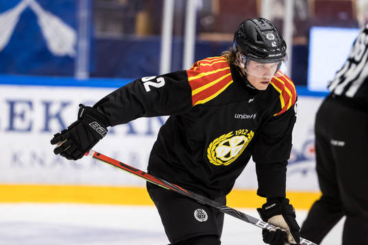 Brynäs Tom Hedberg