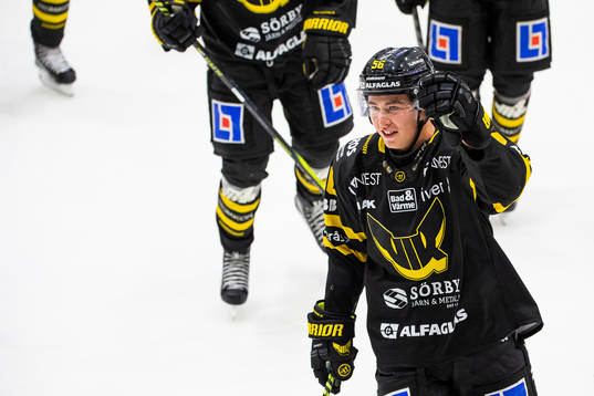 Västerås Alexander Lunsjö jublar