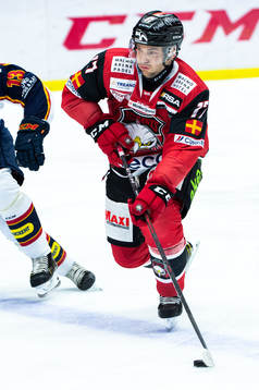 Malmö Redhawks Pathrik Westerholm