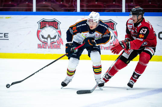 Djurgårdens Linus Andersson och Malmö Redhawks Fredrik