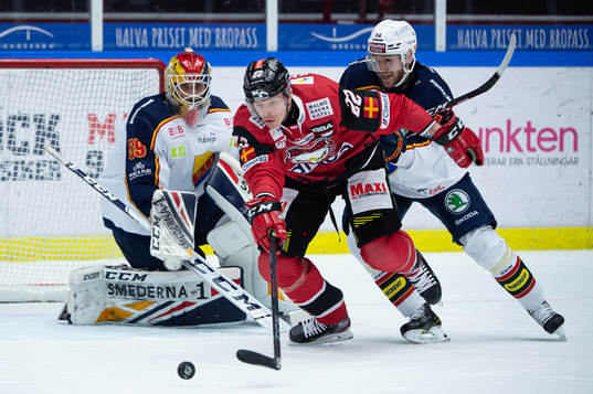 Malmö Redhawks Lars Bryggman oroar framför Djurgårdens