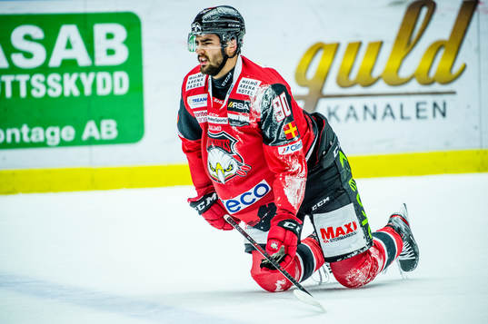 Malmö Redhawks Joseph Veleno grinar illa på isen