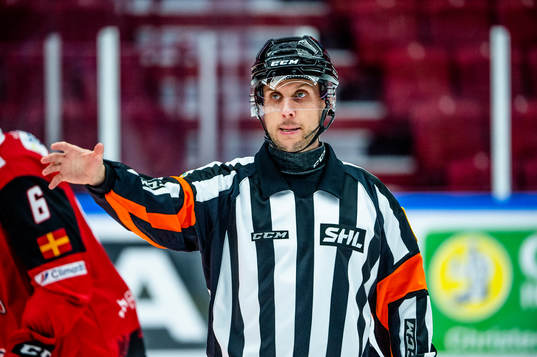 Domaren Patric Bjälkander