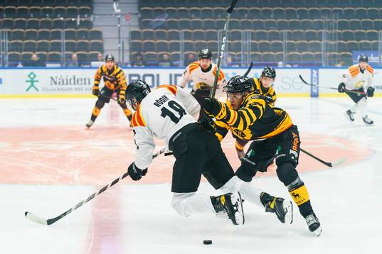 Brynäs Anton Rödin och Skellefteås Adam Wilsby