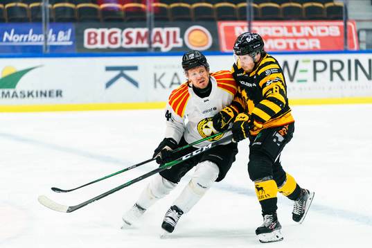 Brynäs Nicklas Danielsson och Skellefteås Jesper Frödén