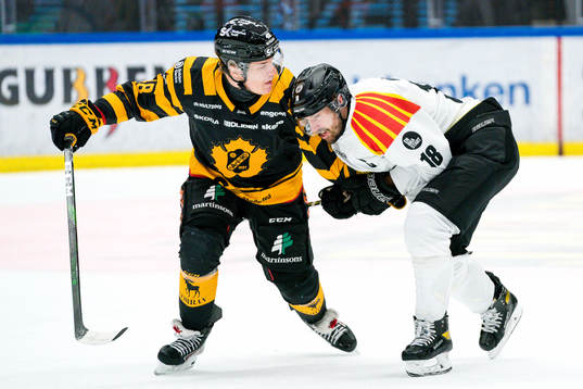 Skellefteås Jonatan Berggren och Brynäs Anton Rödin
