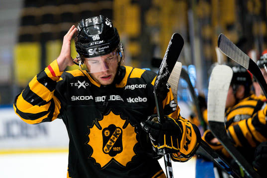 Skellefteås Rickard Hugg