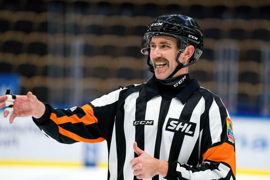 Domare Linus Öhlund