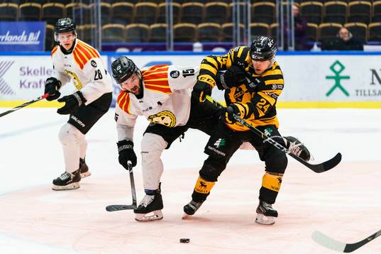 Brynäs Simon Bertilsson och Skellefteås Andreas Wingerli
